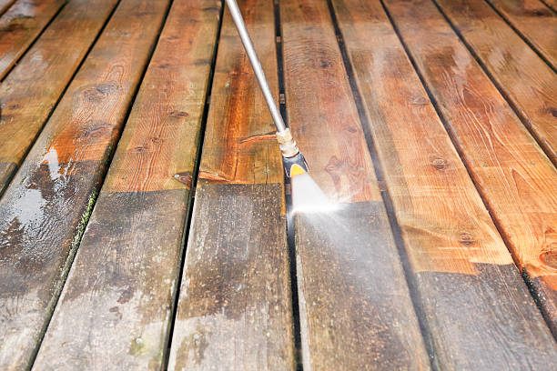 Best Roof Pressure Washing  in Orfordville, WI